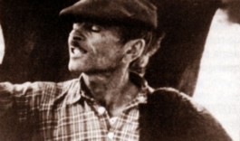 Cinema Fulgor